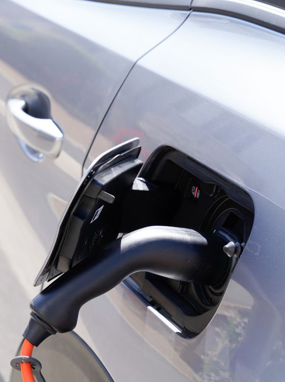 Diseño sin título (60) Diseño sin título (60)