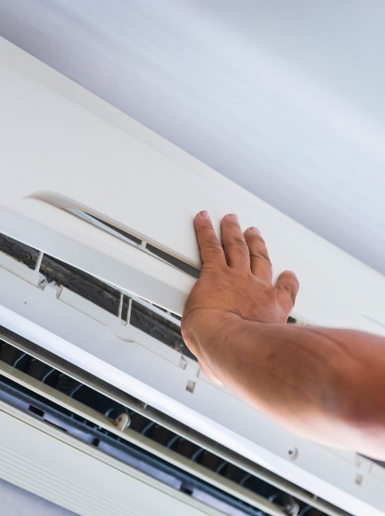 Diseño sin título (61) Diseño sin título (61)